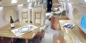 Gulfstream 2 / IIB / II-SP view for Houston charter