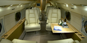 Gulfstream III / G3 view for Houston charter