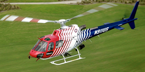 Eurocopter view for Houston charter